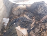  جريمة انتهاك حرمة القبور في بيت جن: القاء رفات الموتى في مكان مكشوف، وضعها في اكوام وحرقها 